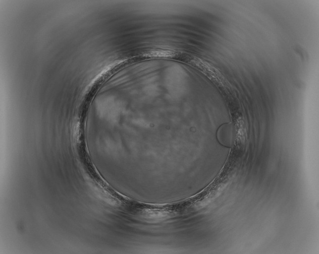 X0000112770351200909101556