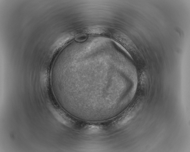 X0000112770352200909101556