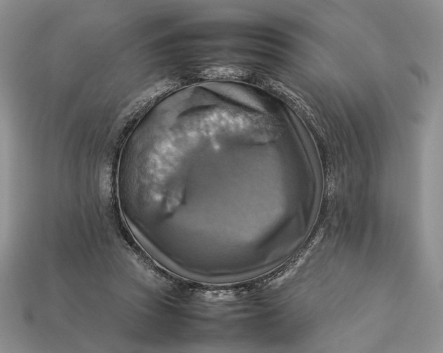 X0000112770353200909101556