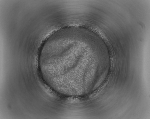 X0000112770354200909101556