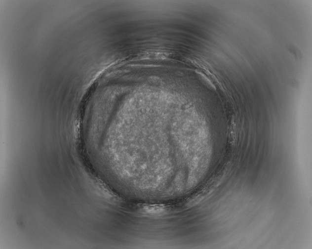 X0000112770355200909101556