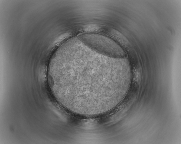 X0000112770356200909101556