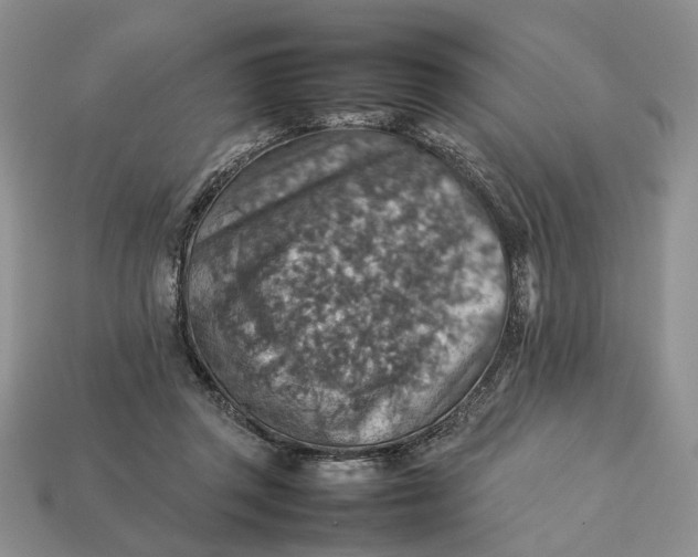 X0000112770357200909101556