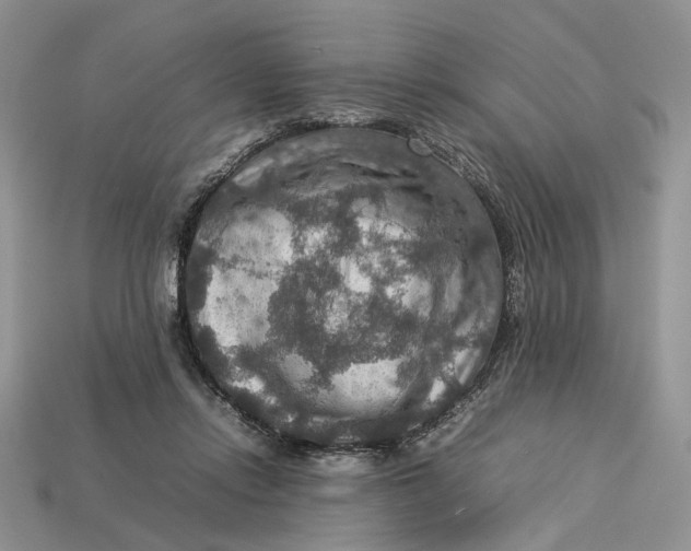 X0000112770358200909101556