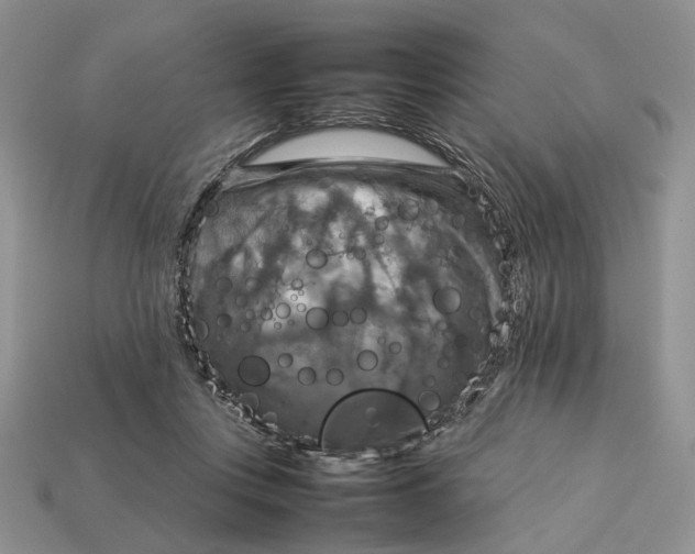 X0000112770359200909101556