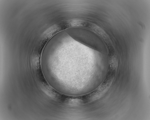 X0000112770360200909101556