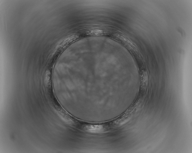 X0000112770361200909101556