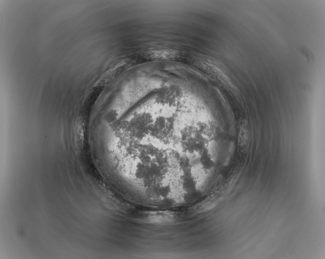 X0000112770363200909101556