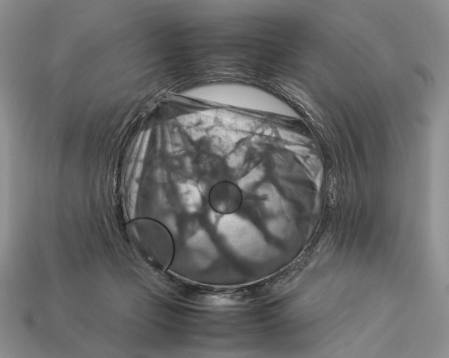 X0000112770365200909101556