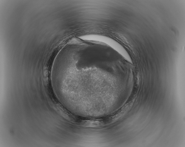 X0000112770366200909101556