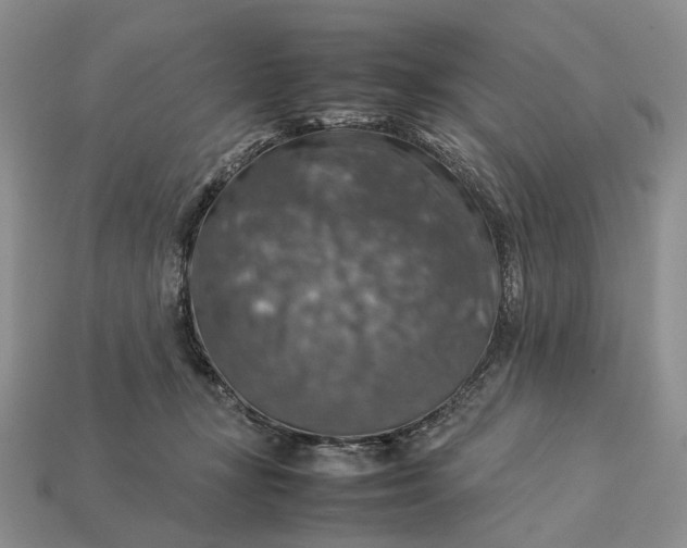 X0000112770367200909101556