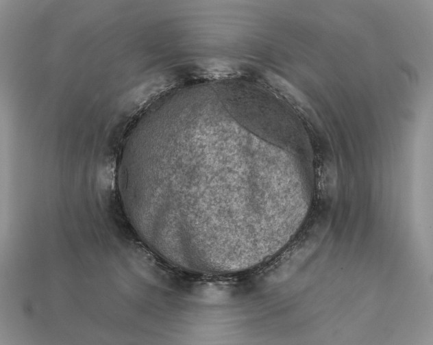 X0000112770368200909101556