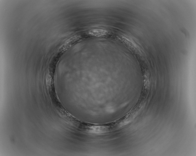 X0000112770371200909101556