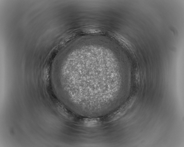 X0000112770373200909101556