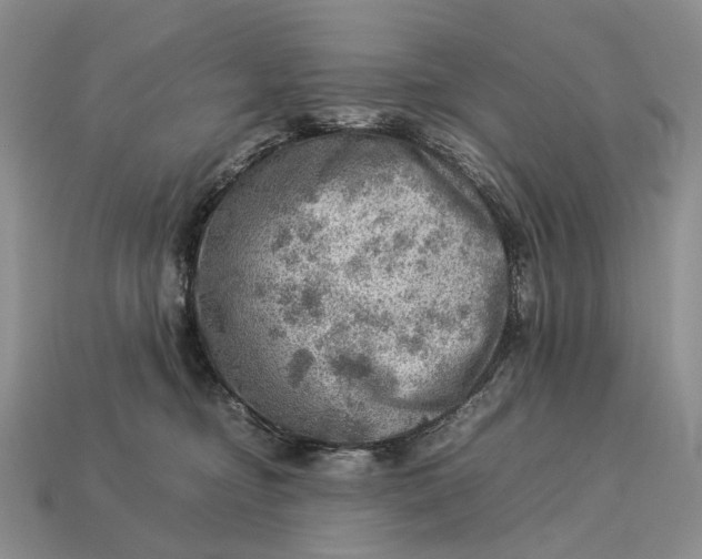 X0000112770374200909101556