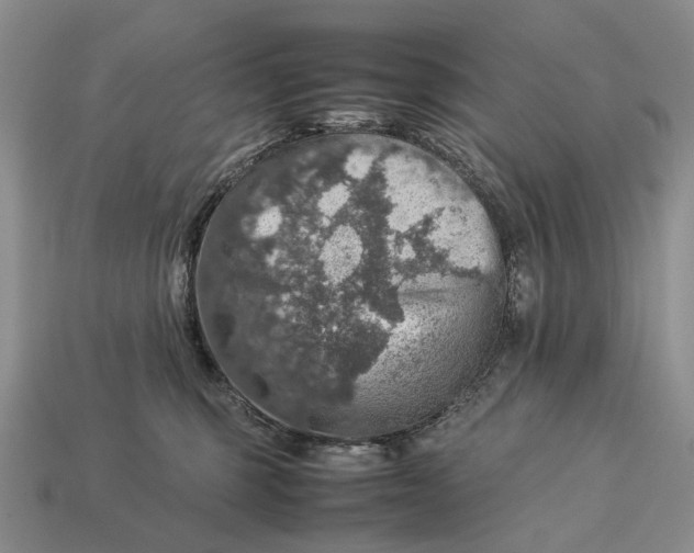 X0000112770375200909101556