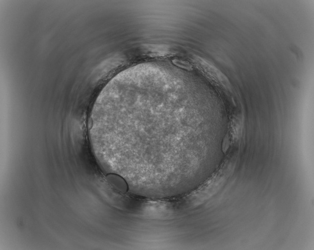 X0000112770376200909101556