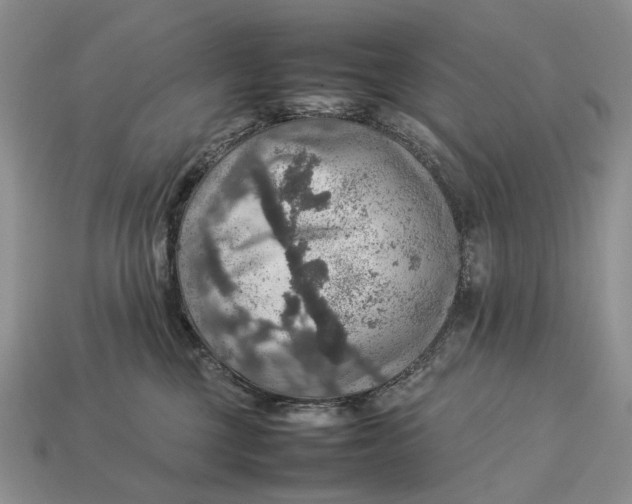 X0000112770377200909101556