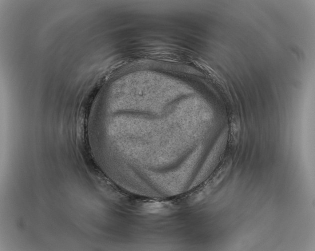 X0000112770379200909101556