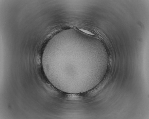 X0000112770380200909101556