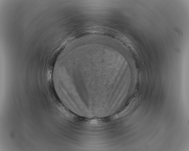 X0000112770382200909101556