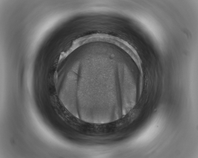 X0000112770383200909101556