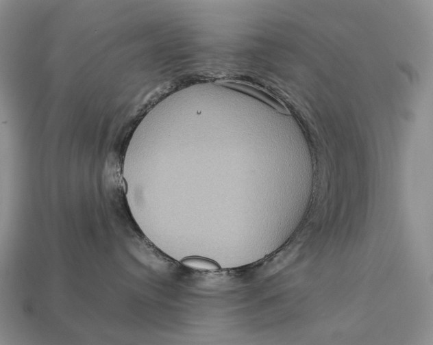 X0000112770384200909101556