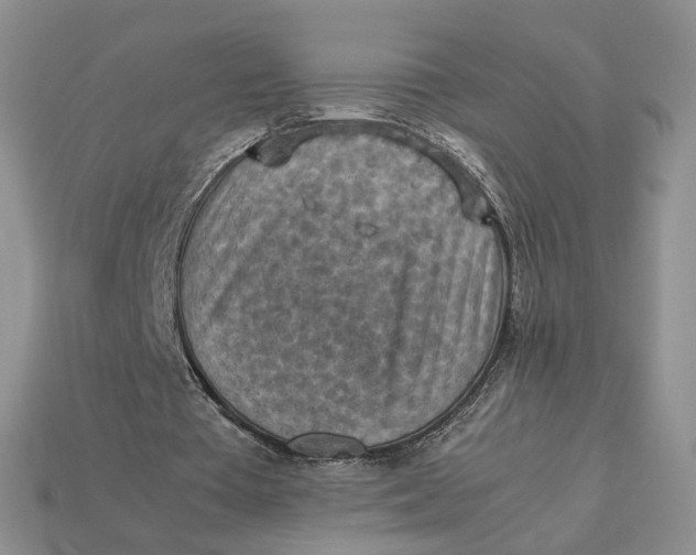 X0000112770385200909101555