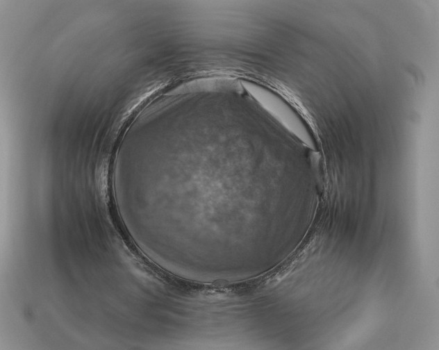 X0000112770386200909101555