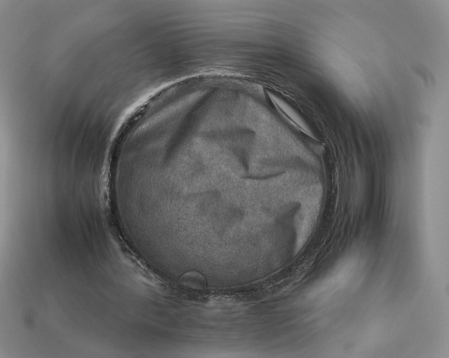 X0000112770388200909101555