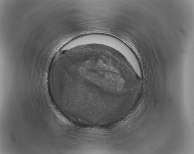 X0000112770389200909101555