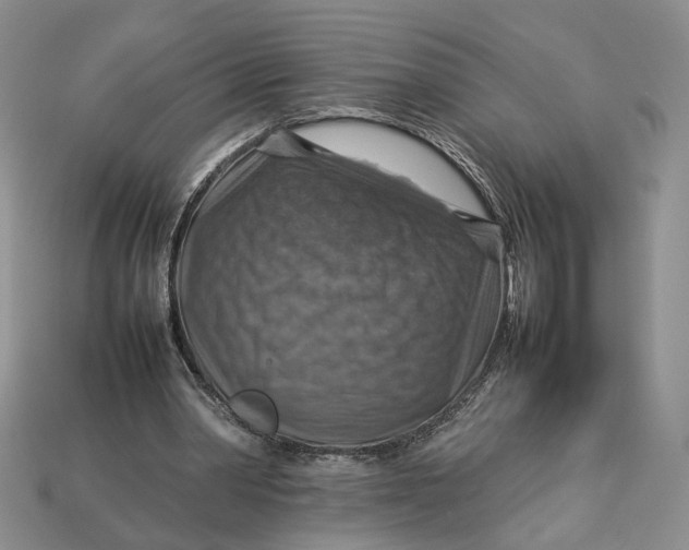 X0000112770390200909101555