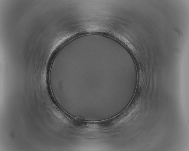 X0000112770391200909101555