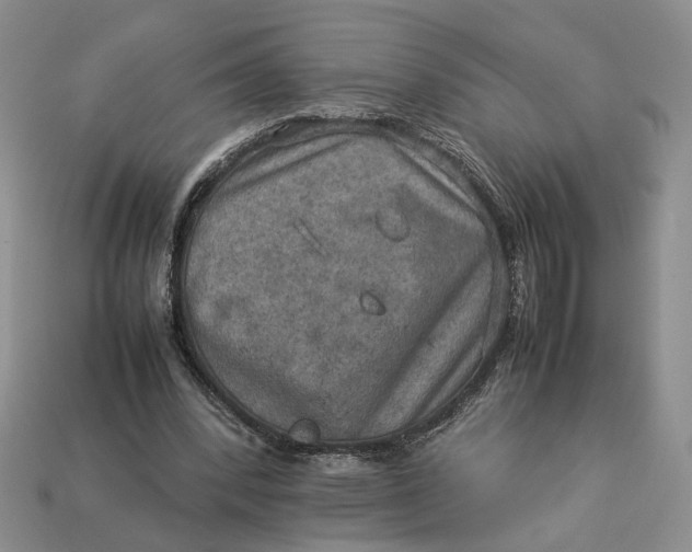 X0000112770392200909101555