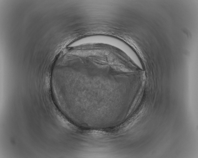 X0000112770393200909101555