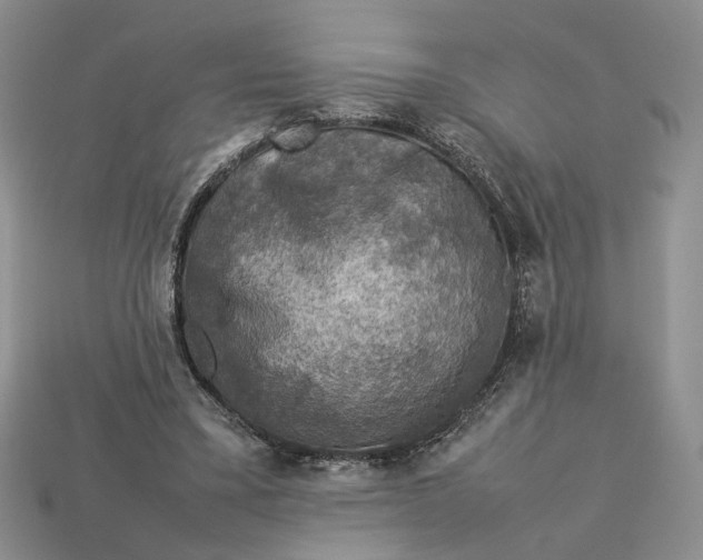 X0000112770395200909101555