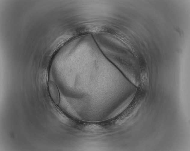 X0000112770397200909101555