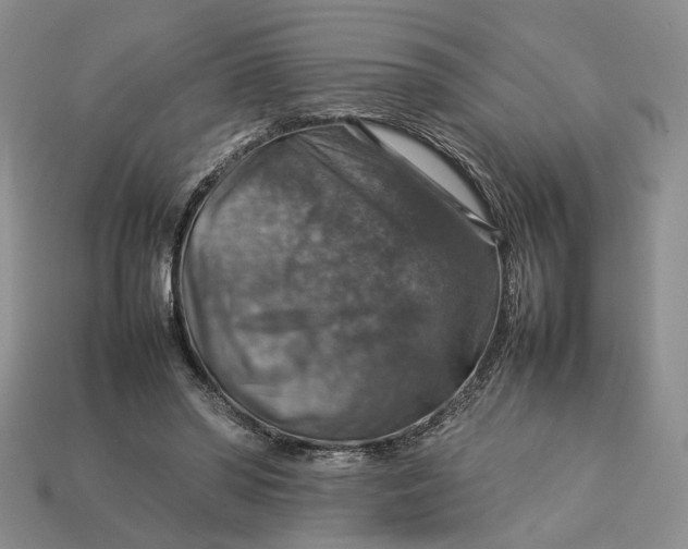 X0000112770398200909101555