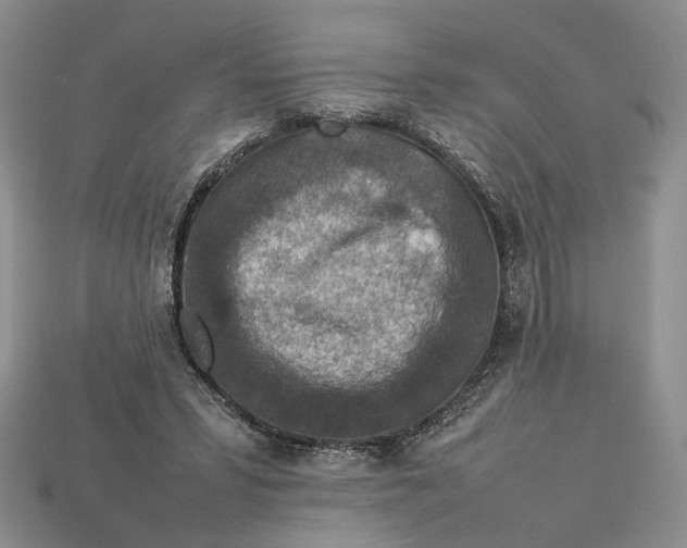 X0000112770399200909101555