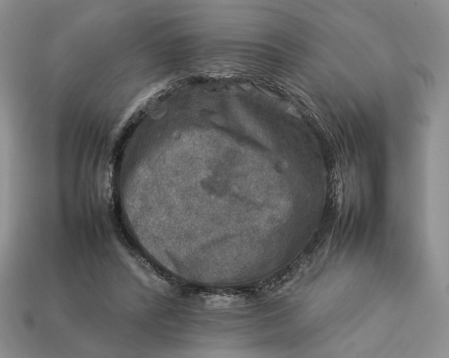 X0000112770400200909101555