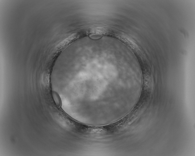 X0000112770401200909101555