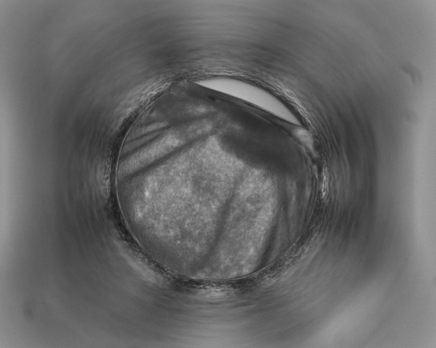 X0000112770402200909101555