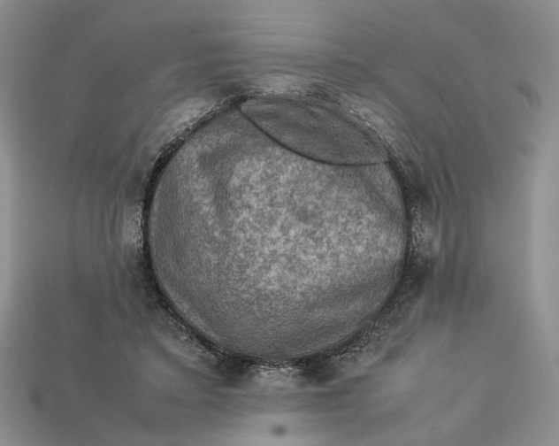 X0000112770403200909101555