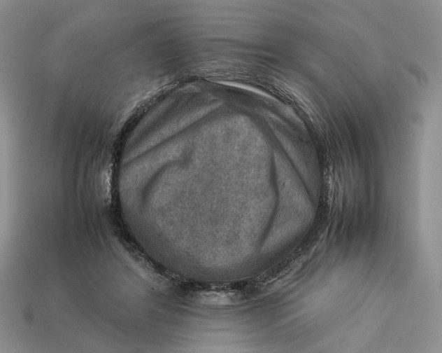 X0000112770404200909101555