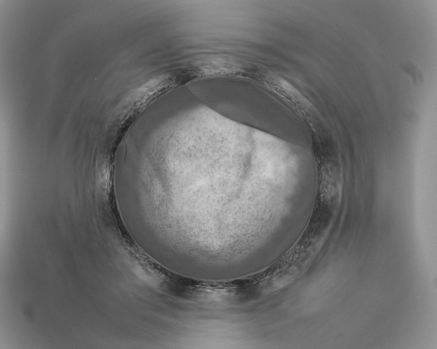 X0000112770405200909101555