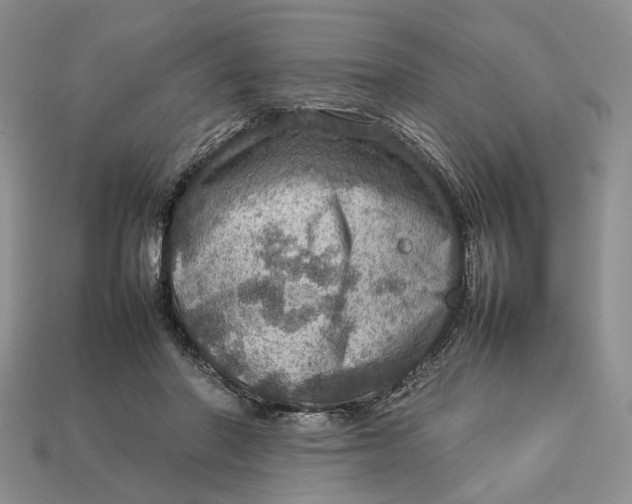 X0000112770406200909101555