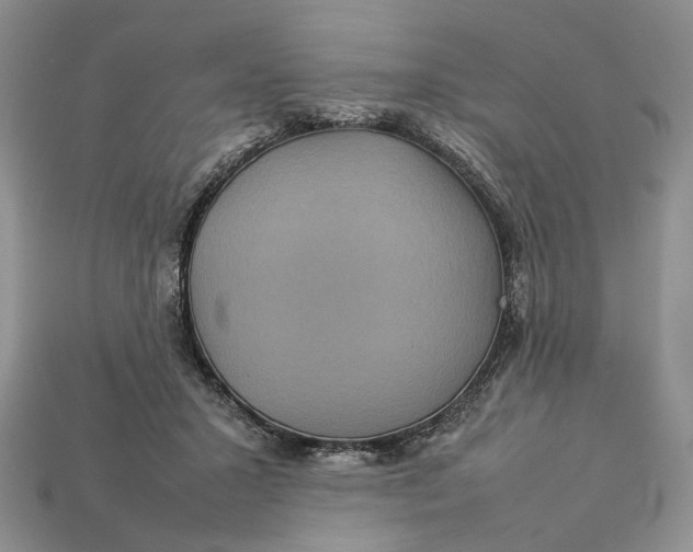 X0000112770407200909101555