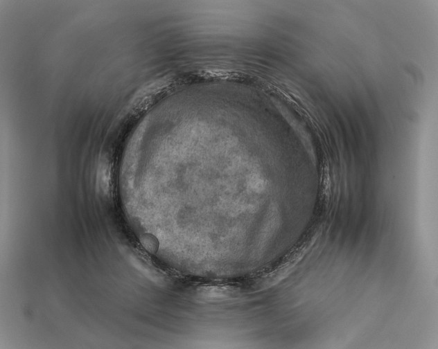 X0000112770408200909101555