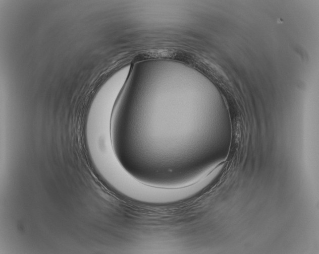 X0000112770409200909101555