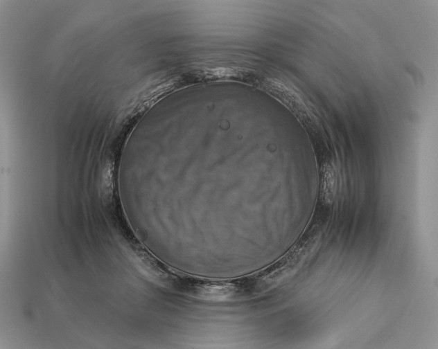 X0000112770410200909101555